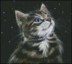 (image for) Star Gazer
